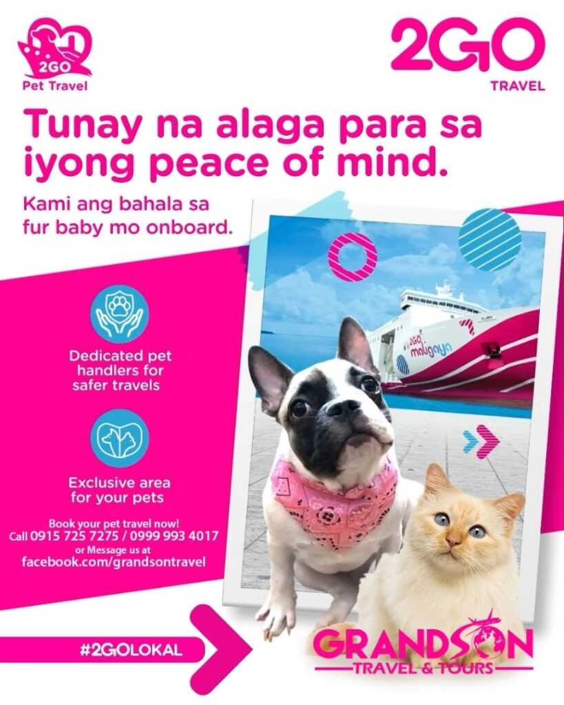 2GO PET TRAVEL REQUIREMENTS - Grandson travel and tours