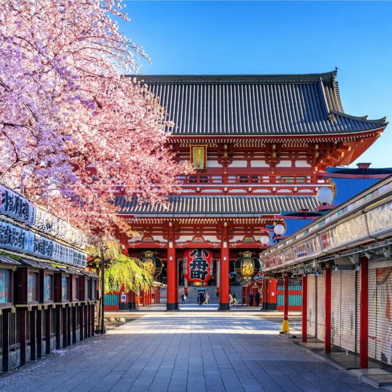 Japan visa application - grandson travel and tours